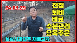 싱싱 사과대추 재배교육 240329 ,  전정 마무리, 점적호스, 퇴비, 농약 이야기