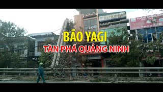 BÃO YAGI GÂY THIỆT HẠI TẠI QUẢNG NINH