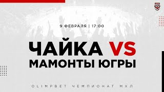 9.02.2023. «Чайка» – «Мамонты Югры» | (OLIMPBET МХЛ 22/23) – Прямая трансляция