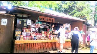 【日本最古の駄菓子屋】雑司が谷駅から鬼子母神まで歩く！  Kishimojin