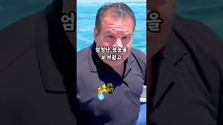 목숨을 걸고 한 전설의 광고