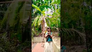 ഇത് ആ പാട്ട് ആണല്ലോ ഇപ്പോഴത്തെ ട്രെൻഡ് 😌😌😀😀 #shorts #dancevideo #trending #fyp