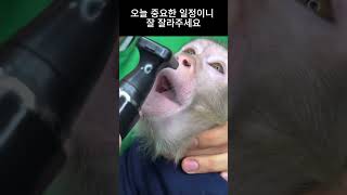 오늘 중요한 일정이 있으니 잘 깍아주세요