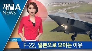 美 F-22 스텔스기, 日 배치…대북 압박 전초기지로