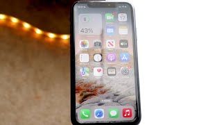 The iPhone XR Is Weird Now