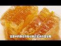 十万个为什么【动物篇】蜜蜂怎样酿蜜？