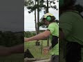 arboristlife treecare tree arborist adventure