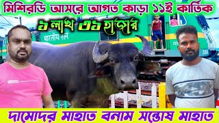 মিশিরডি আসরে ১নং কাড়া আগত🔥দামোদর মাহাত বনাম সন্তোষ মাহাত🔥#barabhum_express