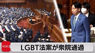 ＬＧＢＴ法案が衆院通過（2023年6月13日）