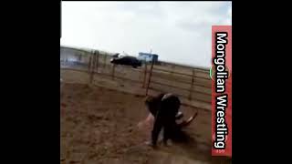 Mongolian Horse Taming with Bökh Wrestling