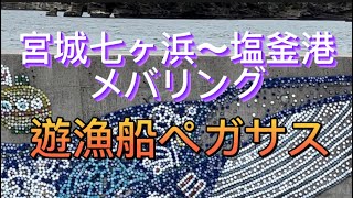 宮城の釣り❗️七ヶ浜〜塩釜港メバリング❗️