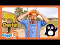 BLIPPI’S TOP TEN: ANIMALS!: Blippi Top 10 Videos | Moonbug Kids Songs for Kids