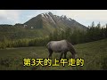 西游记最高机密 你敢看吗？ 【第 9 回】 西游记中最大的秘密