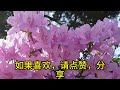 西游记最高机密 你敢看吗？ 【第 9 回】 西游记中最大的秘密