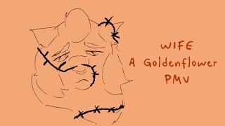 Wife- A Goldenflower PMV (Warriors)