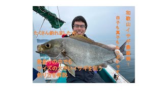 「イサギ釣り」サイズも数もばあっちり狙える！和歌山のイサギ釣り