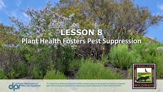 Plant Health Fosters Pest Suppression Webinar