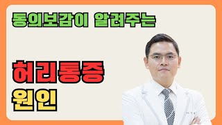 동의보감이 알려주는 허리통증 요통 원인