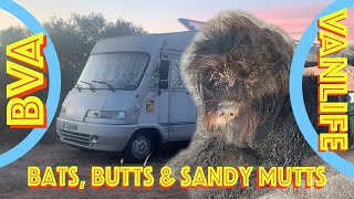 BVA EP4 Blodwen Vanlife Adventures dodge, mosquitoes, rain and a YouTube strike over those trunks