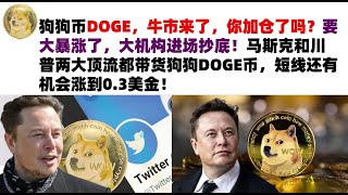 狗狗币DOGE，牛市来了，你加仓了吗？要大暴涨了，大机构进场抄底！马斯克和川普两大顶流都带货狗狗DOGE币，短线还有机会涨到0.3美金！马斯克狗狗币|DOGE行情分析!