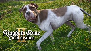 The search for MUTT in Kingdom Come: Deliverance 2 Ep. 3