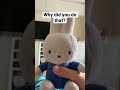 nabbit lies to miffy