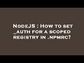 NodeJS : How to set _auth for a scoped registry in .npmrc?