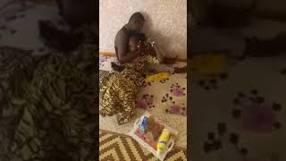 Sex videos for 3gp in Kano