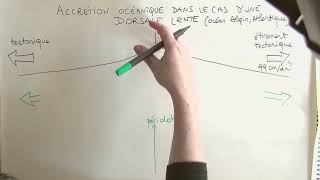 G4-2-Schema de dorsale lente