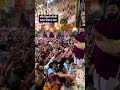 बाँके बिहारी जी के भक्तों में प्रसाद वितरण सेवा सौभाग्य bankebihari shorts vrindavan krishna