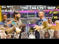 ₹40 முதல் chepest pet shop Coimbatore |Exotic pet shop |all over India delivery available |pets life