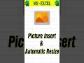 How To Insert Picture And Auto Resize in Excel #shorts #exceltipshindi