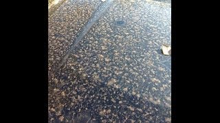 Mysterious Mud Rain In Houston