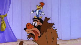 Woody's Royal Job | 2.5 Hours of Classic Episodes of Woody Woodpecker