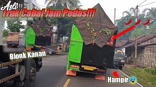 Perdana!!! Truk New Radja Stj bawa cabai Banjarnegara // Blonk Kanan Hampir Cr4sh!!!