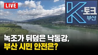 녹조가 뒤덮은 낙동강, 부산 시민 안전은?_K토크 부산_240830