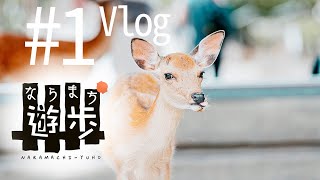 【ならまち遊歩#１】ならまちの前に奈良公園に行く人。