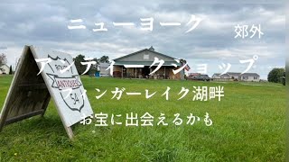 ニューヨーク Finger Lakeにあるアンティークショップご紹介(来年は５月から営業）