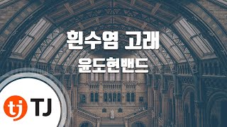 [TJ노래방 / 멜로디제거] 흰수염고래 - 윤도현밴드 / TJ Karaoke