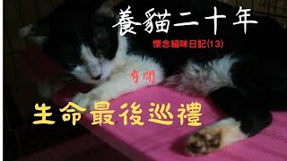 (樂貓誌-懷念篇13)腎末貓生命的最後巡禮.