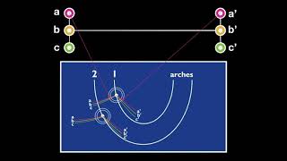 The what, why and how of facebows