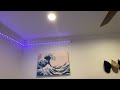 Setting up LED Strip Lights from AMAZON Tenmiro 656FT