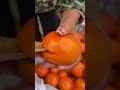 beautiful nature inspur fresh fruit wonderful video of industry 9614