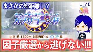 【ウマ娘】カプリコーン杯はまさかの短距離！？　早くも心が折れそうだけど、因子源泉から逃げない！！！　まったり雑談しつつ因子厳選をすすめるよ　＃５