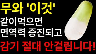 노년기 건강 무 하나로 지킨다! 제대로 먹는 법 공개