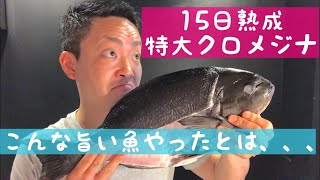 15日熟成2.7㌔特大クロメジナが旨すぎてたまらん🥺 #魚の捌き方#熟成魚#熟成#津本式