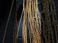 premium panchaloha impon 24 inch chains jewel manufacturer trending jewellerycollection