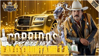 Lalo Quintanilla🤠 | Las 20 Mejores Canciones Seleccionadas ✅| Puros Corridos Pesados 🔥2312