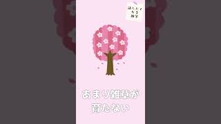 【雑学】植物の意外と知らない雑学 #shorts