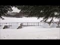 大雪遊水公園スノートレッキング